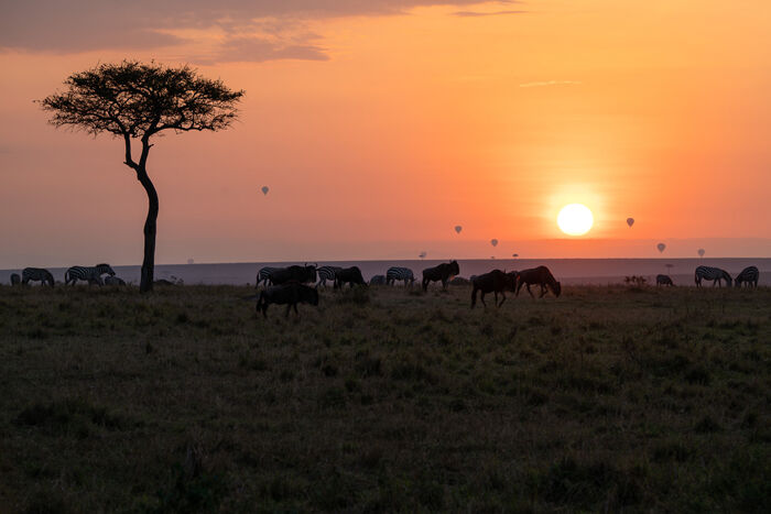 Sunrise Over the Masai Mara