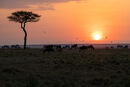 Sunrise Over the Masai Mara