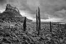 Lindisfarne