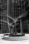 Steel Trees in a Glass Jungle