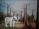 Tiger In Adansonia Digitata Forest