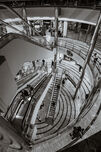 Ups and Downs of Shopping