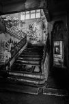 Family Stairs