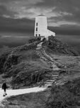 Way to the Lighthouse