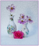 Soft Still Life
