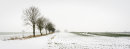 Winter Snowscape