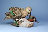 Hen Pecked Teal