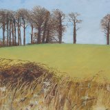 From the west highland way