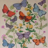 Butterflies, Broom and Vetch