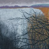 Branches, Lake of Menteith in winter