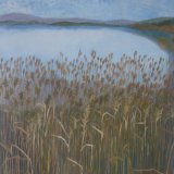 Winter, reeds at Lake of Menteith