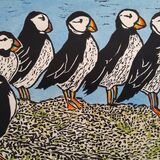 Puffins