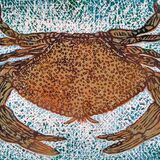 Blue crab