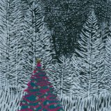 Christmas Tree at night