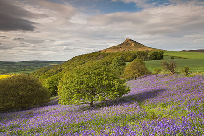 Roseberry Topping