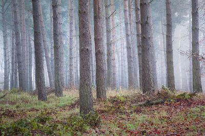 Tunstall, Suffolk, England