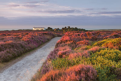 Dunwich Heath