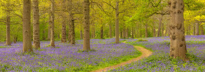 Blickling, Norfolk, England