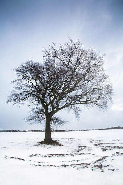 Gillingham, Norfolk