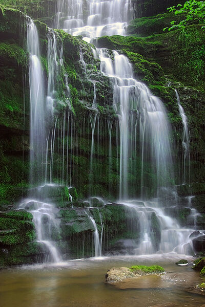 Scaleber Force