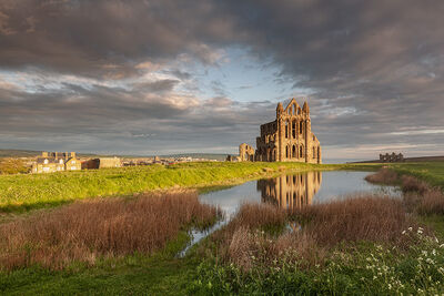 Whitby Abbey