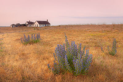 Shingle Street
