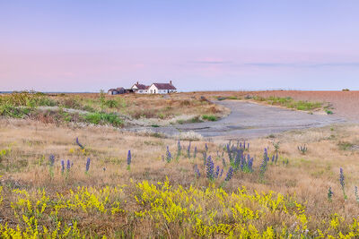 Shingle Street
