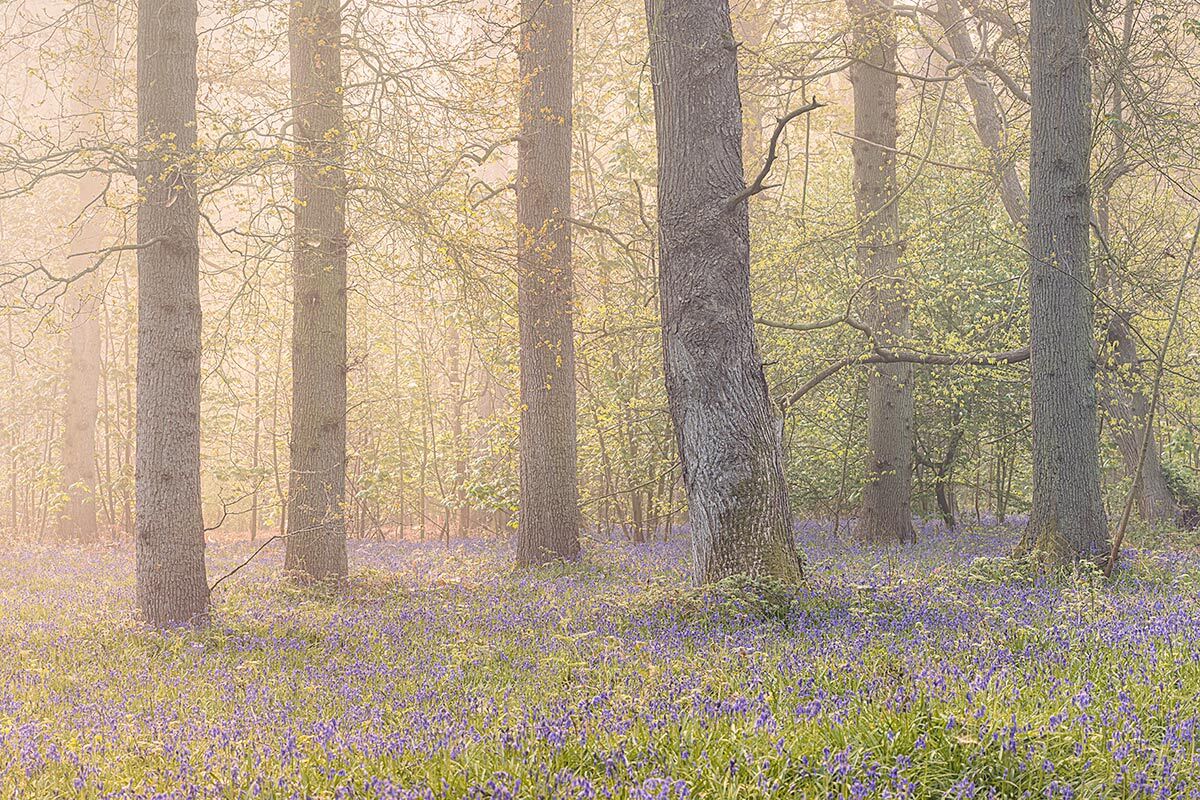 Blickling Norfolk