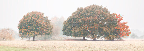 Dedham Vale