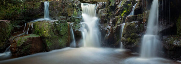 Nelly Ayre Foss
