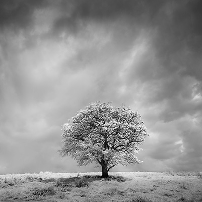 Black & White