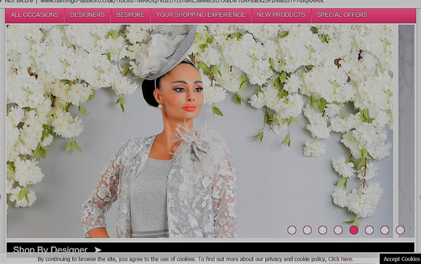 Homepage Of 'Flamingo Fashion' Boutique