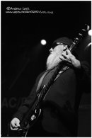 THE ZZ TOPS - LEAMINGTON ASSEMBLY 2011