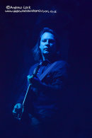 LEAMINGTON ASSEMBLY 2011