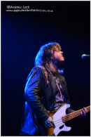 THE ANIMALS - CAMBRIDGE ROCK FESTIVAL 2013