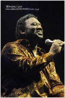 MUD MORGANFIELD - LEAMINGTON ASSEMBLY 2010