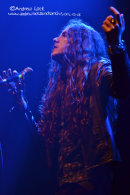 BUFFALO SUMMER - LEAMINGTON ASSEMBLY 2013