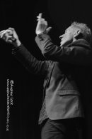 DR. FEELGOOD - LEAMINGTON ASSEMBLY 2014