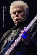 DR FEELGOOD - LEAMINGTON ASSEMBLY 2014