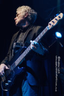 DR FEELGOOD - LEAMINGTON ASSEMBLY 2014