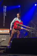 A FORMAL HORSE - TRINITY 2, LEAMINGTON ASSEMBLY 2017