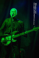 THE FIRM - NAPTON FESTIVAL 2017