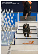 TRAILBLAZERS FLYBALL EVENT 11/6/22