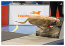 TRAILBLAZERS FLYBALL EVENT 11/6/22