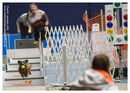 TRAILBLAZERS FLYBALL EVENT 11/6/22