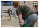 TRAILBLAZERS FLYBALL EVENT 11/6/22