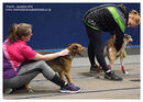 TRAILBLAZERS FLYBALL EVENT 11/6/22
