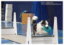 TRAILBLAZERS FLYBALL EVENT 11/6/22