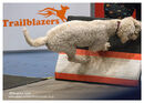TRAILBLAZERS FLYBALL EVENT 11/6/22