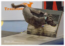 TRAILBLAZERS FLYBALL EVENT 11/6/22